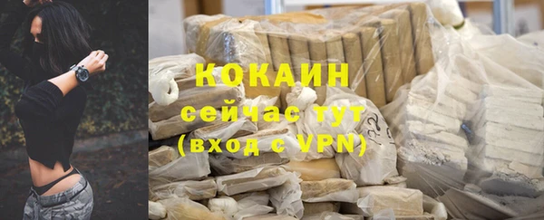 ГАЛЛЮЦИНОГЕННЫЕ ГРИБЫ Дмитриев