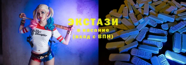 ГАЛЛЮЦИНОГЕННЫЕ ГРИБЫ Дмитриев