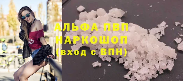 ГАЛЛЮЦИНОГЕННЫЕ ГРИБЫ Дмитриев