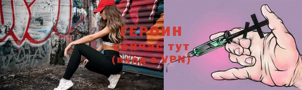 ГАЛЛЮЦИНОГЕННЫЕ ГРИБЫ Дмитриев