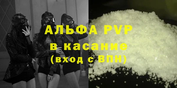 ГАЛЛЮЦИНОГЕННЫЕ ГРИБЫ Дмитриев