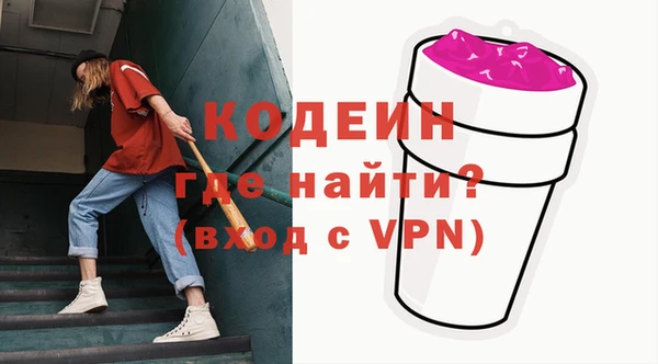 ГАЛЛЮЦИНОГЕННЫЕ ГРИБЫ Дмитриев