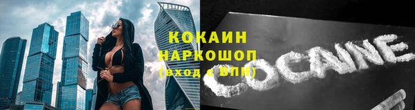 ГАЛЛЮЦИНОГЕННЫЕ ГРИБЫ Дмитриев