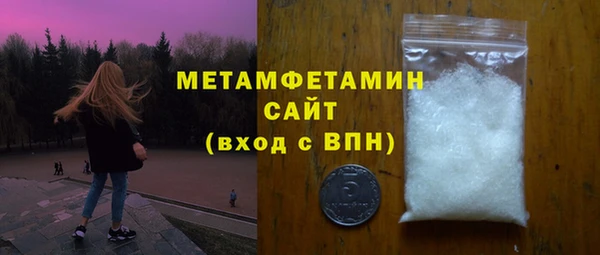 ГАЛЛЮЦИНОГЕННЫЕ ГРИБЫ Дмитриев