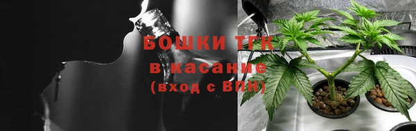 ГАЛЛЮЦИНОГЕННЫЕ ГРИБЫ Дмитриев