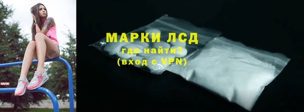 ГАЛЛЮЦИНОГЕННЫЕ ГРИБЫ Дмитриев