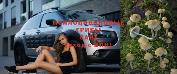 ГАЛЛЮЦИНОГЕННЫЕ ГРИБЫ Дмитриев