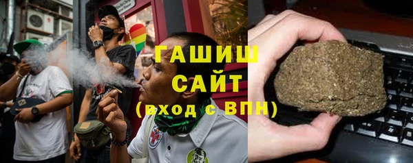 ГАЛЛЮЦИНОГЕННЫЕ ГРИБЫ Дмитриев