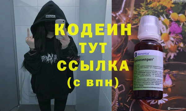 ГАЛЛЮЦИНОГЕННЫЕ ГРИБЫ Дмитриев