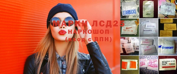 ГАЛЛЮЦИНОГЕННЫЕ ГРИБЫ Дмитриев